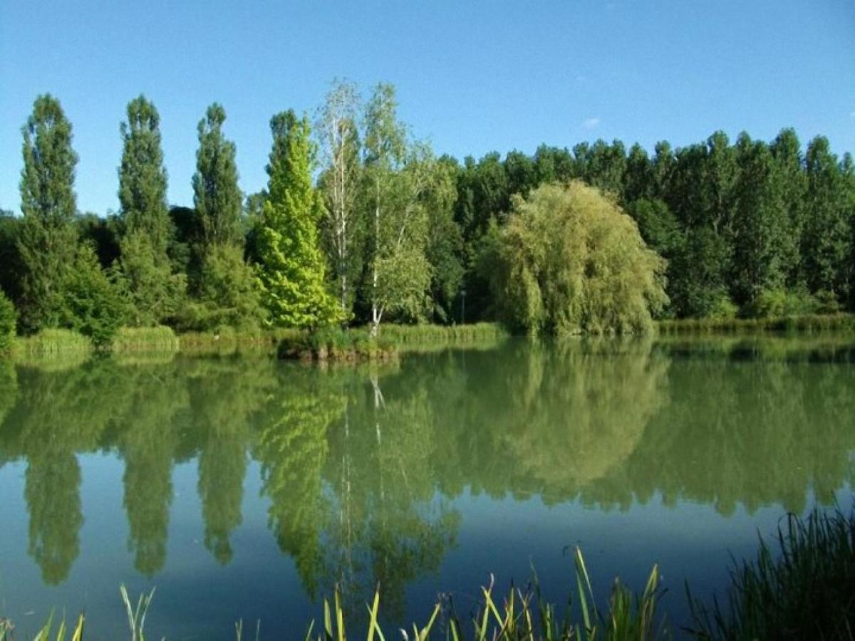 Le Domaine De L'Etang De Sandanet Acomodação com café da manhã Issac Exterior foto