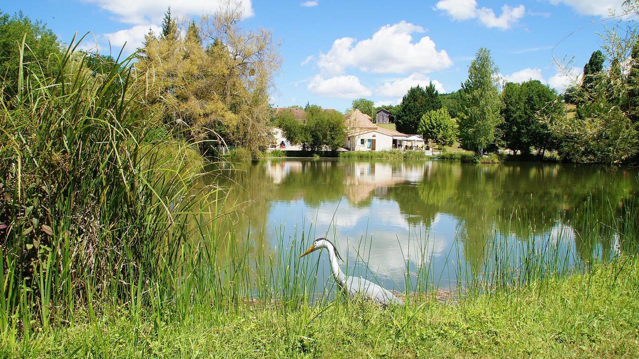 Le Domaine De L'Etang De Sandanet Issac Exterior foto