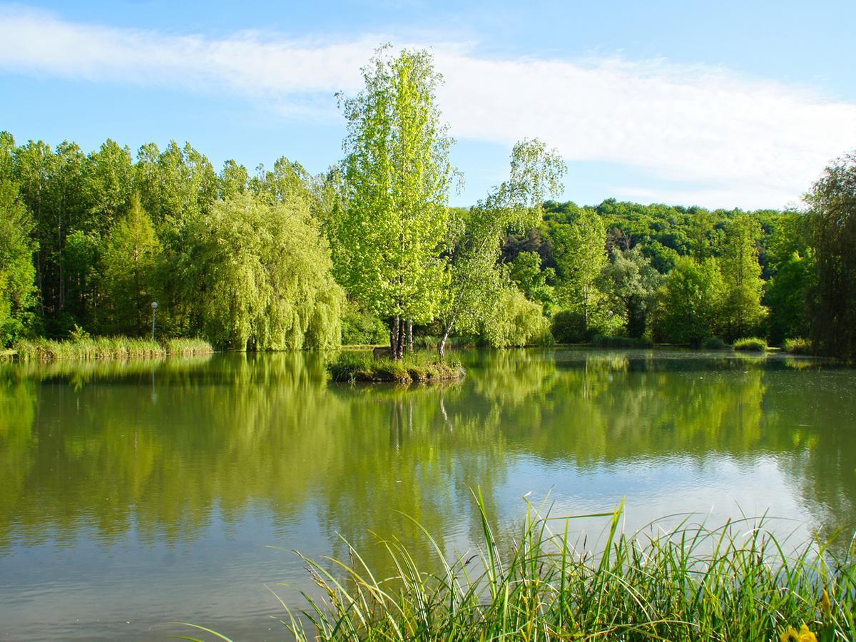 Le Domaine De L'Etang De Sandanet Acomodação com café da manhã Issac Exterior foto